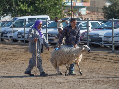 Besiciler kurbanlıkları pazara indirdi