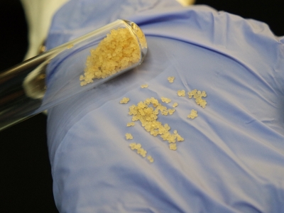 Türk bilim insanları arı sütünün raf ömrünü uzattı