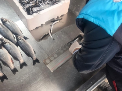 Çatalzeytin’de su ürünleri denetimi yapıldı