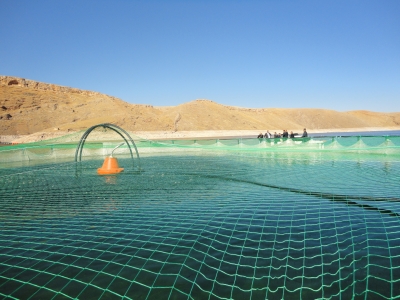 Alabalıklar karadan otomatik yemleniyor