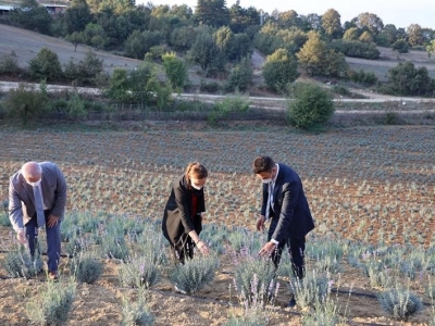 Bu köy üretim merkezi olacak