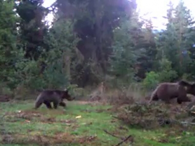 Doğa için uyanma vakti