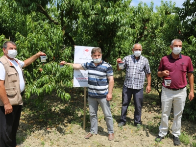 Bursa’da ‘biyoteknik mücadele’ başladı
