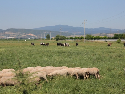 Bursa’da mera açılışı