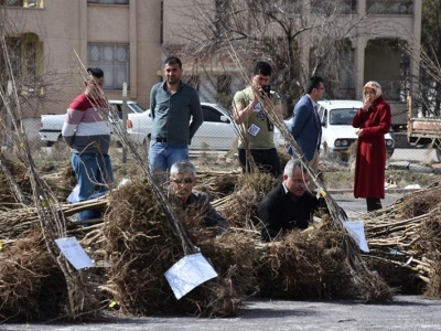 Aksaray’da  meyve fidanı dağıtımı