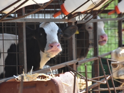 Hedef yılda bin işletme ziyareti