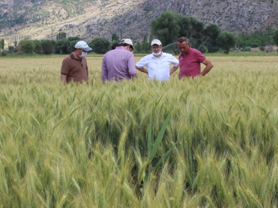 Burdur’da buğday denemeleri paylaşıldı