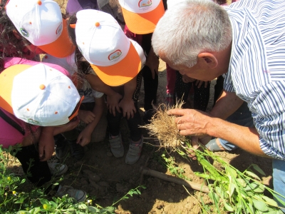 Muğla’da gezilerle ‘Organik Eğitim Projesi’