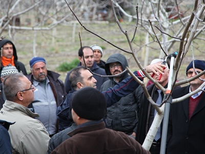 Çanakkale’de ceviz ve badem üretimi