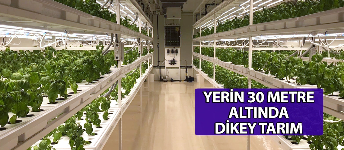 Yerin 30 metre altında dikey tarım