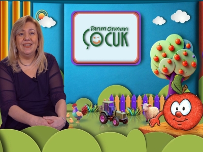 Tarım Orman Çocuk 4.Bölüm (Arı)