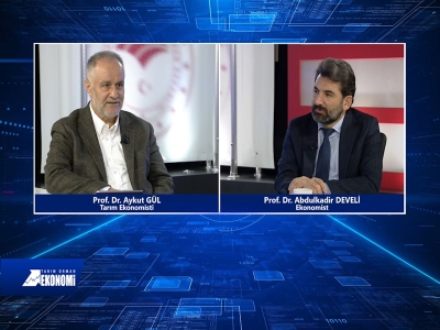 Tarım Orman Ekonomi 16.Bölüm