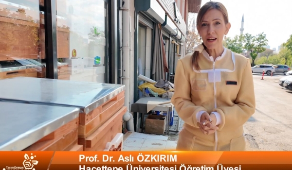 Tarım Orman Arıcılarla 14.Bölüm