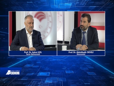 Tarım Orman Ekonomi 29.Bölüm