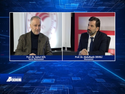 Tarım Orman Ekonomi 17.Bölüm