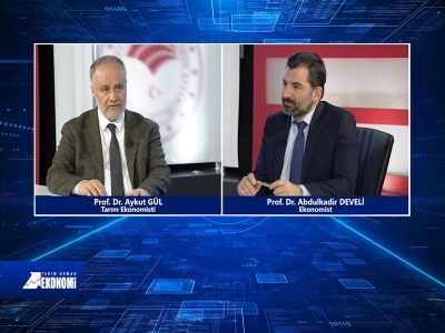 Tarım Orman Ekonomi 19.Bölüm