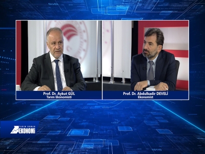 Tarım Orman Ekonomi 31.Bölüm