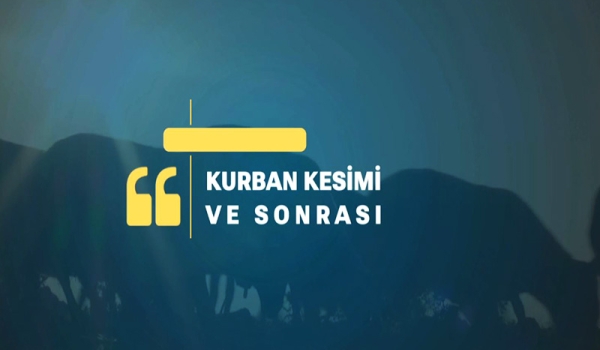 KURBAN KESİMİ VE SONRASI