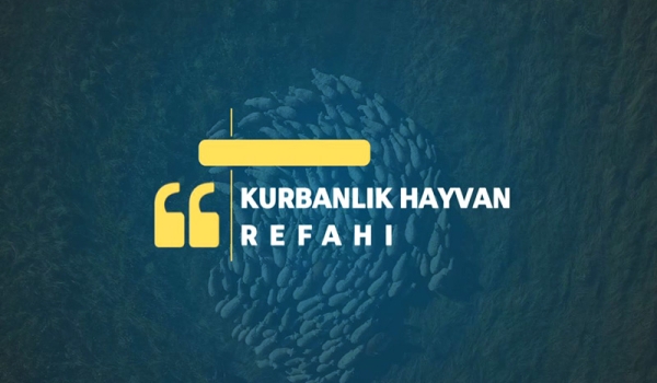 KURBANLIK HAYVAN REFAHI