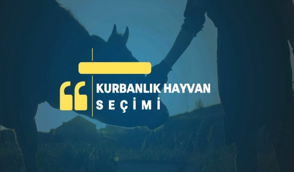 KURBANLIK HAYVAN SEÇİMİ