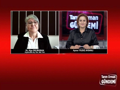 Tarım Orman Gündemi 13.11.2025