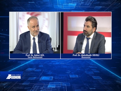 Tarım Orman Ekonomi 8.Bölüm