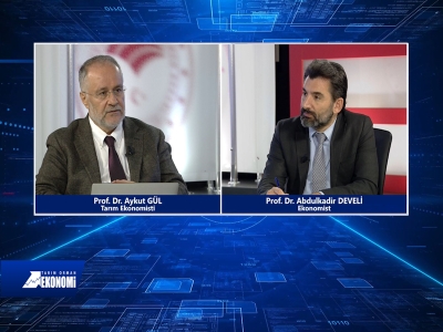 Tarım Orman Ekonomi 9.Bölüm