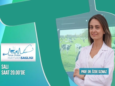 Tarım Orman Hayvan Sağlığı - Tanıtım