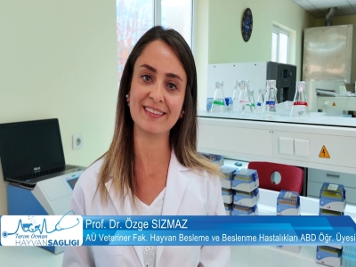 Tarım Orman Hayvan Sağlığı 1.Bölüm