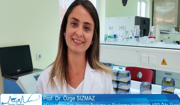 Tarım Orman Hayvan Sağlığı 1.Bölüm