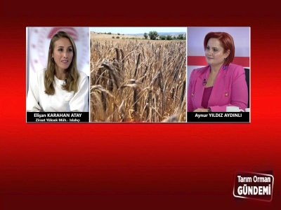 Tarım Orman Gündemi 15.10.2025