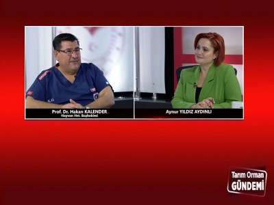 Tarım Orman Gündemi 20.10.2025