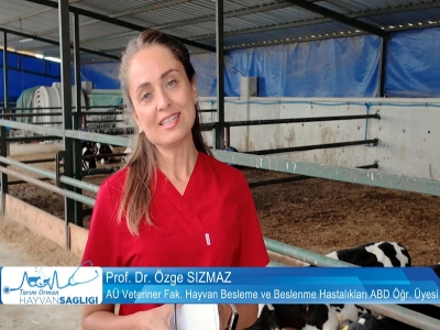 Tarım Orman Hayvan Sağlığı 2.Bölüm