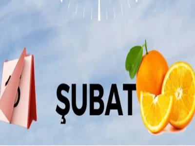 Tam Zamanı - Şubat Ayı Tarım Takvimi