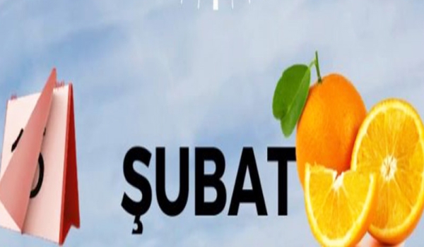 Tam Zamanı - Şubat Ayı Tarım Takvimi