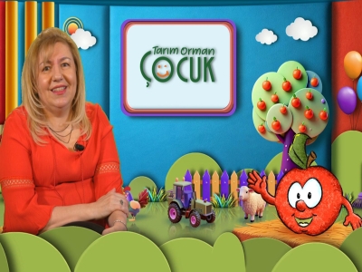 Tarım Orman Çocuk 9.Bölüm (Zeytin)