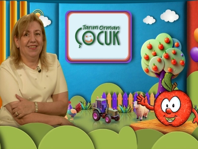 Tarım Orman Çocuk 11.Bölüm (Yumurta)