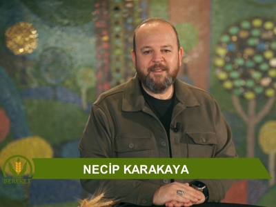 Tarım Orman Bereket 18.Bölüm (Güneş ve Doğal Denge)