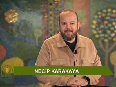 Tarım Orman Bereket 19.Bölüm (Tohumun Sırrı)