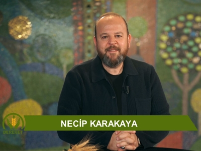 Tarım Orman Bereket 25.Bölüm (Emeğin ve Sabırla Yürünen Yolun Ödülü)