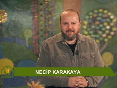 Tarım Orman Bereket 30.Bölüm (Topraktan Öğrenilen En Büyük Ders: Teslimiyet)