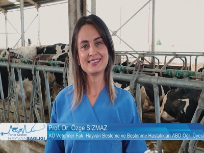 Tarım Orman Hayvan Sağlığı 3.Bölüm