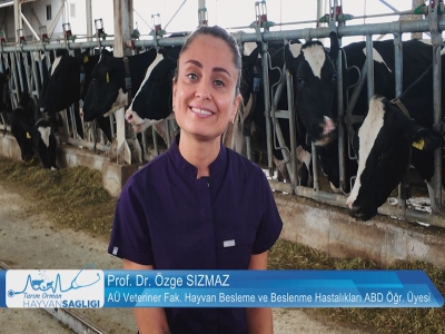 Tarım Orman Hayvan Sağlığı 4.Bölüm