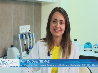 Tarım Orman Hayvan Sağlığı 9.Bölüm