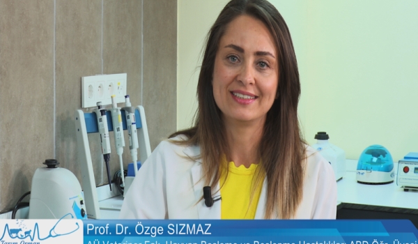 Tarım Orman Hayvan Sağlığı 9.Bölüm