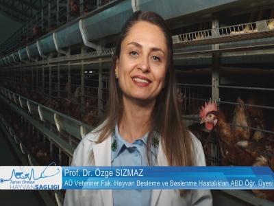Tarım Orman Hayvan Sağlığı 10.Bölüm