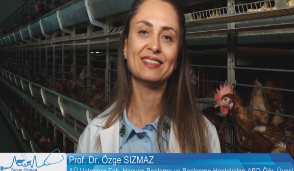 Tarım Orman Hayvan Sağlığı 10.Bölüm