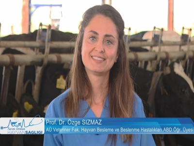 Tarım Orman Hayvan Sağlığı 11.Bölüm