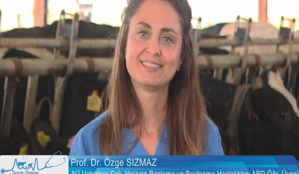 Tarım Orman Hayvan Sağlığı 11.Bölüm