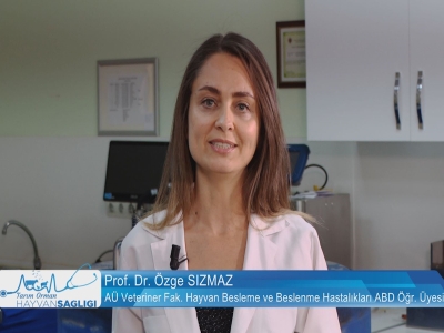Tarım Orman Hayvan Sağlığı 12.Bölüm